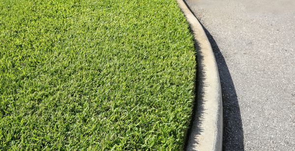 Driveway Curb Repair in Decatur